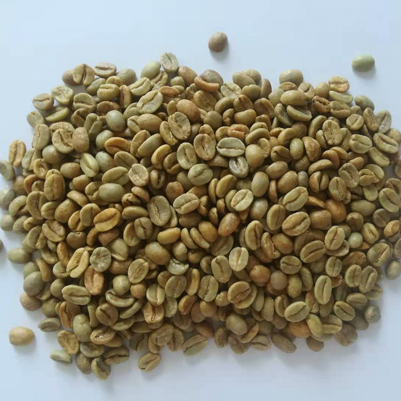 莉娜 生豆圖.jpg