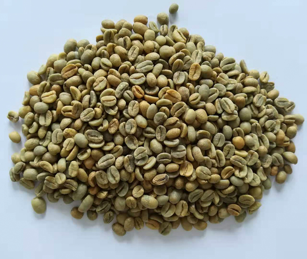 生豆 墨西哥96小時.jpg